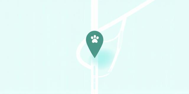 Map placeholder showing approximate location of TruePaw Technologies in Brisbane